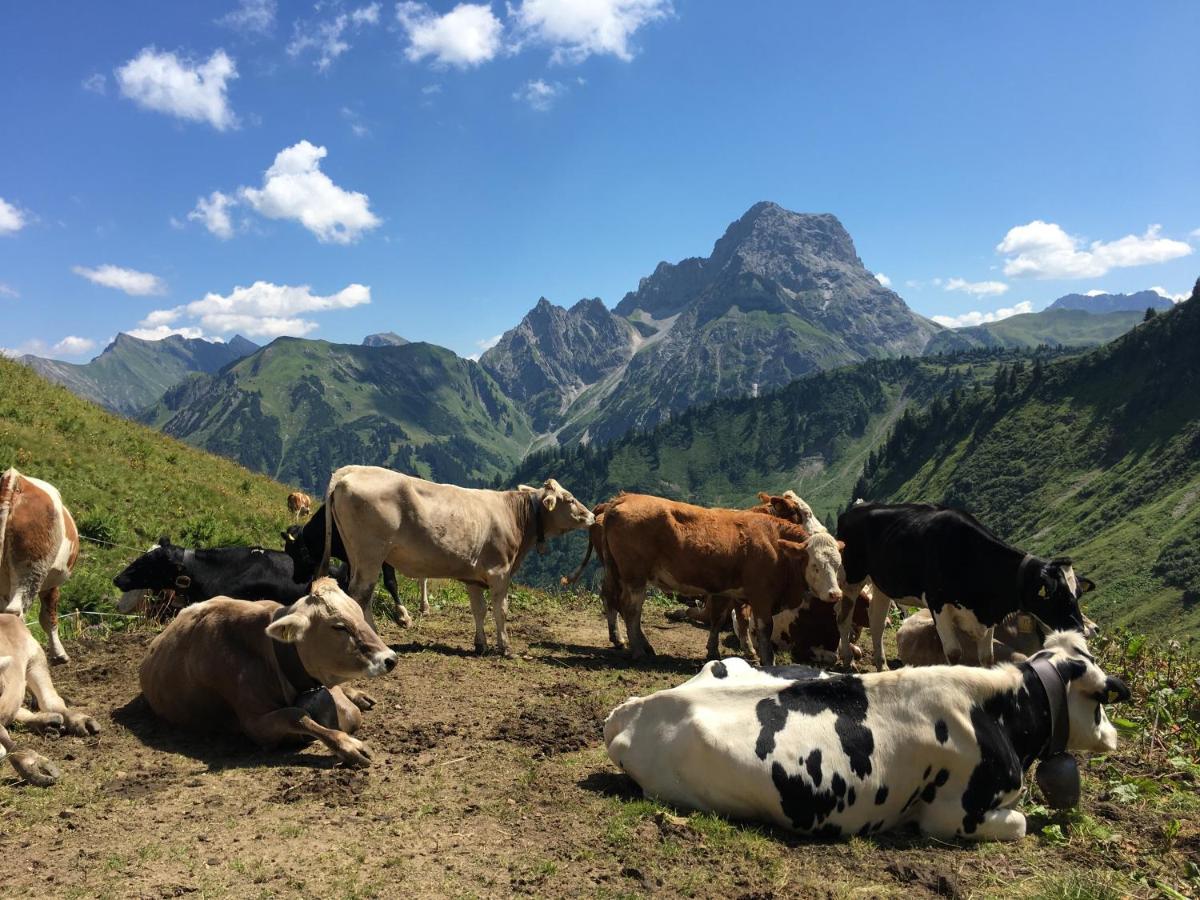 Bergfex Gaisalphorn Mit Sommer-Bergbahnticket Oberstdorf Buitenkant foto