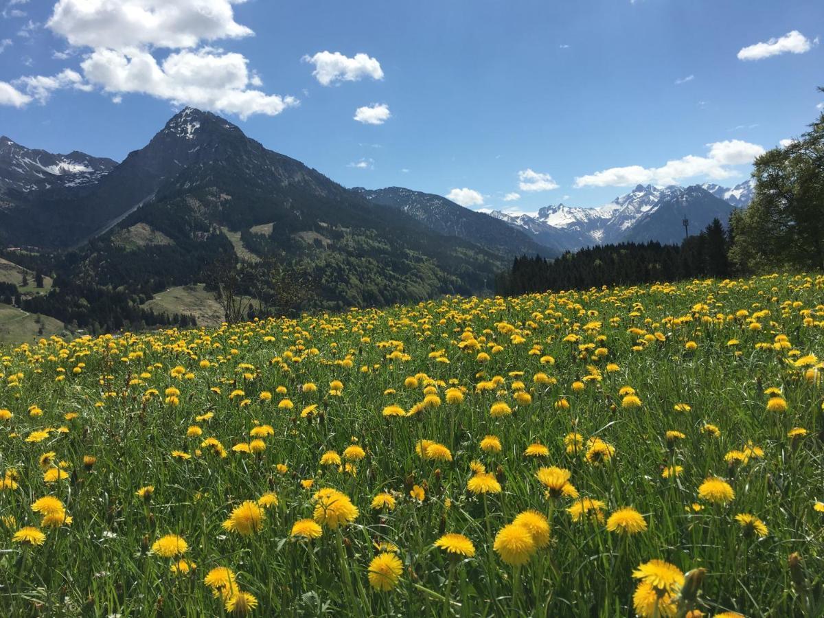 Bergfex Gaisalphorn Mit Sommer-Bergbahnticket Oberstdorf Buitenkant foto